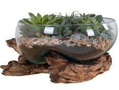 Récipient SAN MARINO H 20 cm – Bois de teck et verre