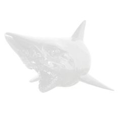 Sculpture tête de requin résine blanche Tinau