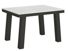 Table extensible 6 à 10 places L 120 à 224 cm blanc et cadre métal anthracite Bidy