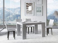 Table rectangulaire extensible 4 à 10 personnes L 130 à 234 cm gris béton Ribo