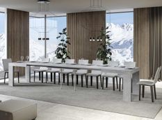 Table rectangulaire extensible 8 à 20 personnes L 180 à 440 cm gris béton Ribo