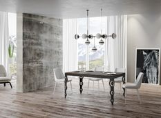 Table rectangulaire extensible orientale 6 à 10 personnes L 120 à 224 cm bois noyer et cadre métal anthracite Zakary