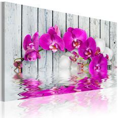 Tableau harmonie: orchidée