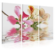 Tableau Orchid with colorful spots