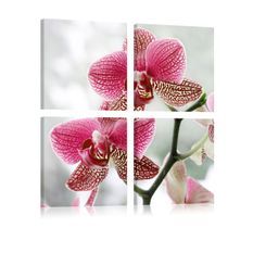 Tableau Orchidée de fantaisie