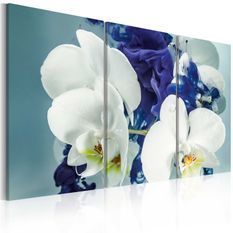 Tableau Orchidées chimériques