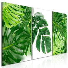 Tableau Palm Leaves (3 Parts)