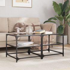 Tables basses avec dessus en verre noir 2 pcs 50x50x45 cm acier