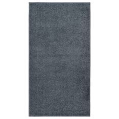 Tapis à poils courts 80x150 cm Anthracite