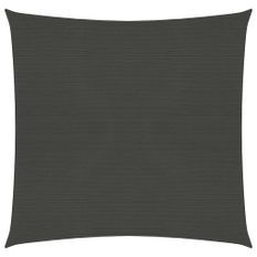 Voile d'ombrage 160 g/m² Anthracite 2,5x2,5 m PEHD