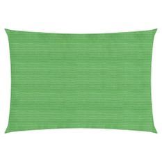 Voile d'ombrage 160 g/m² Vert clair 2x4 m PEHD