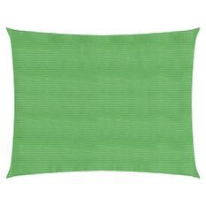 Voile d'ombrage 160 g/m² Vert clair 4x5 m PEHD