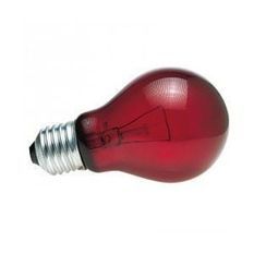 ZOOMED Lampe chauffante infrarouge nocturne - 60 W - Pour terrarium