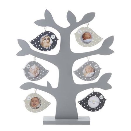 Arbre 6 photos bois gris Oiseaux