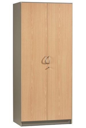 Armoire de bureau 2 portes hêtre clair et gris Wirma