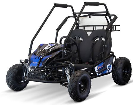 Buggy enfant essence Forest 212cc – 2 places