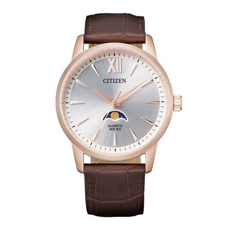 Citizen Ak5003-05a