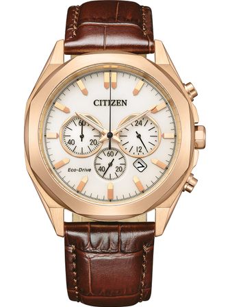 Citizen Ca4593-15a