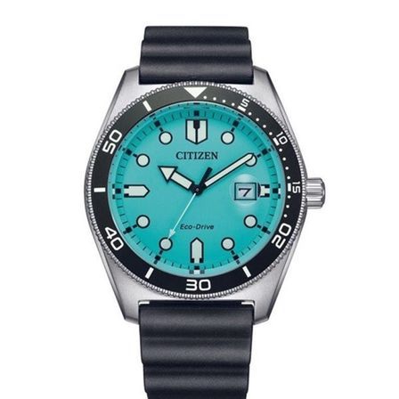 Citizen Marine 1760 AW1760-14X
