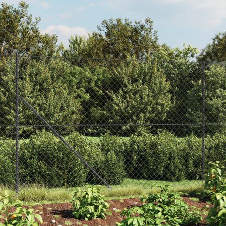 Clôture à mailles losangées avec ancrage anthracite 2x25 m