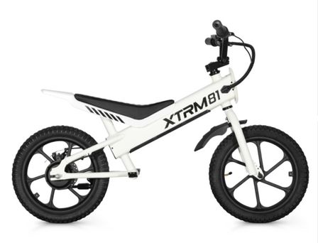 Draisienne électrique DX 16
