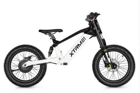 Draisienne électrique DX 18