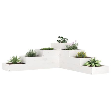 Jardinière 4 niveaux 106x104,5x36 cm blanc bois de pin massif