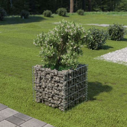 Jardinière à gabion Acier galvanisé 50x50x50 cm