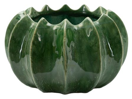 Panier à cactus cm ø 22 x 13,5