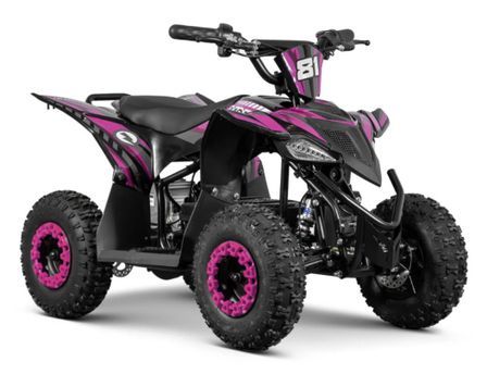 Quad 1000W 36V VOLT 6