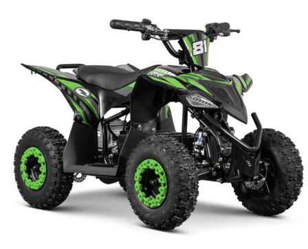 Quad 1000W 36V VOLT 6