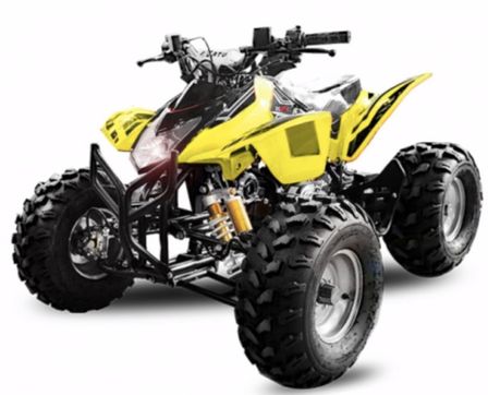 Quad ado 125cc automatique 125cc Luxy 8