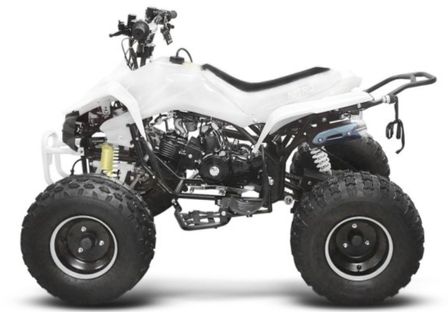 Quad ado 125cc semi automatique Panthera RS 8
