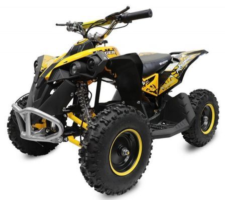 Quad électrique de luxe 1060W 6