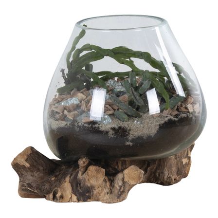 Récipient SAN MARINO H 15-20 cm – Bois de teck et verre