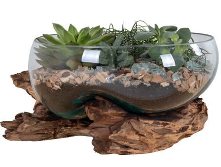 Récipient SAN MARINO H 20 cm – Bois de teck et verre