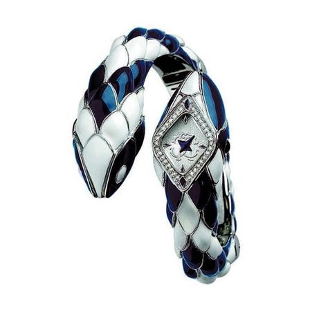 Roberto Cavalli R7253151615