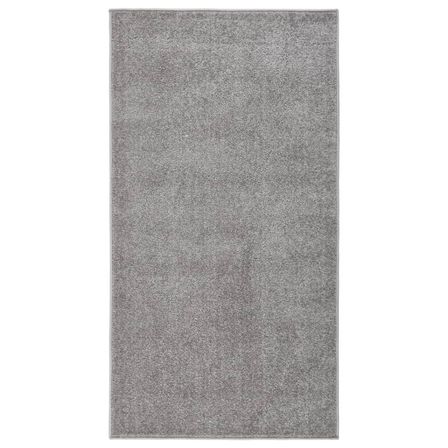 Tapis à poils courts 80x150 cm Gris