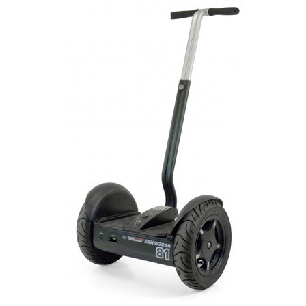 Transporteur électrique Gyropode