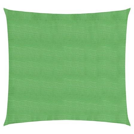 Voile d'ombrage 160 g/m² Vert clair 2,5x2,5 m PEHD