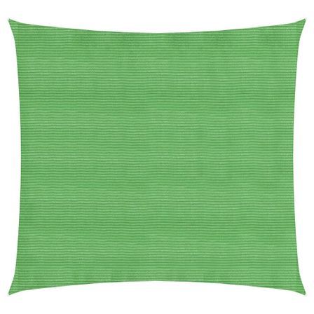 Voile d'ombrage 160 g/m² Vert clair 3,6x3,6 m PEHD
