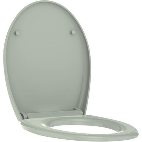 ALLIBERT Abattant de toilette a fermeture silencieuse Boreo - Vert de gris brillant - Photo n°2; ?>