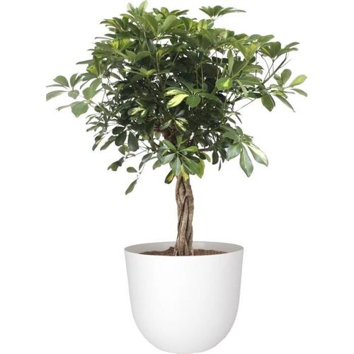 ARTEVASI - Pot havana natural 40cm granite 40 x 40 x h33,2 cm - 1,93l - Photo n°2; ?>