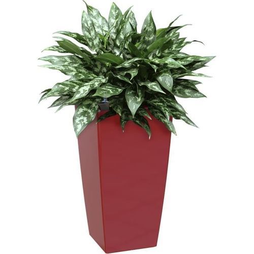 ARTEVASI - Pot pisa auto-arrosage 60cm rouge foncé 33 x 33 x h61 cm - 4,42l - Photo n°2; ?>