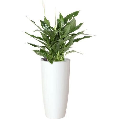 ARTEVASI - Pot santorini auto-arrosage 65cm blanc 33 x 33 x h65 cm - 3,71l - Photo n°2; ?>