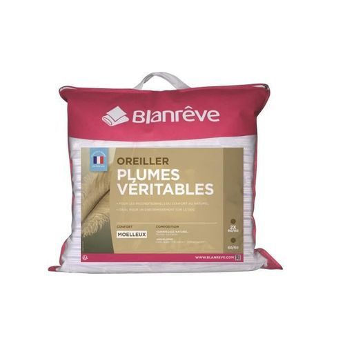 BLANREVE Oreiller Plumes 60x60 cm blanc - Photo n°2; ?>