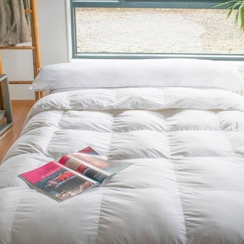 BLEU CALIN Traversin plat a mémoire de forme Mémofill 40x140 cm blanc - Photo n°2; ?>