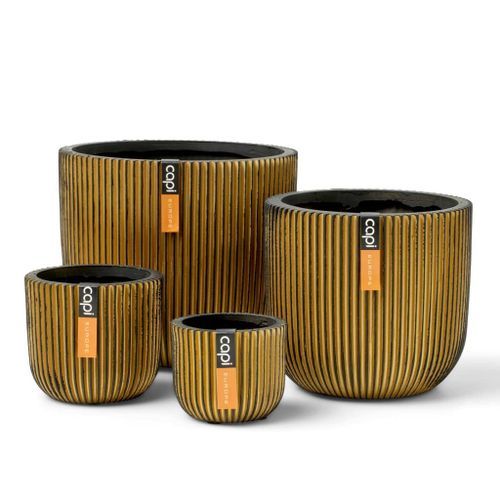 Capi Ensemble de jardinière 4 pcs Groove Doré - Photo n°2; ?>