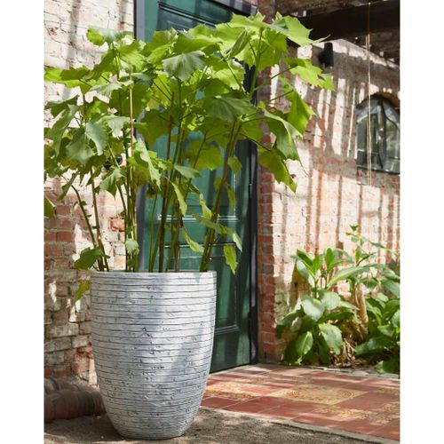 Capi Pot à fleurs Nature Row élégant bas 46x58 cm ivoire KRWI783 - Photo n°3; ?>