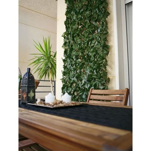 CATRAL - Treillis extensible avec feuilles basic - 1x2m - Photo n°2; ?>
